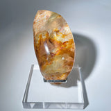 AMPHIBOLE QUARTZ FREE FROM